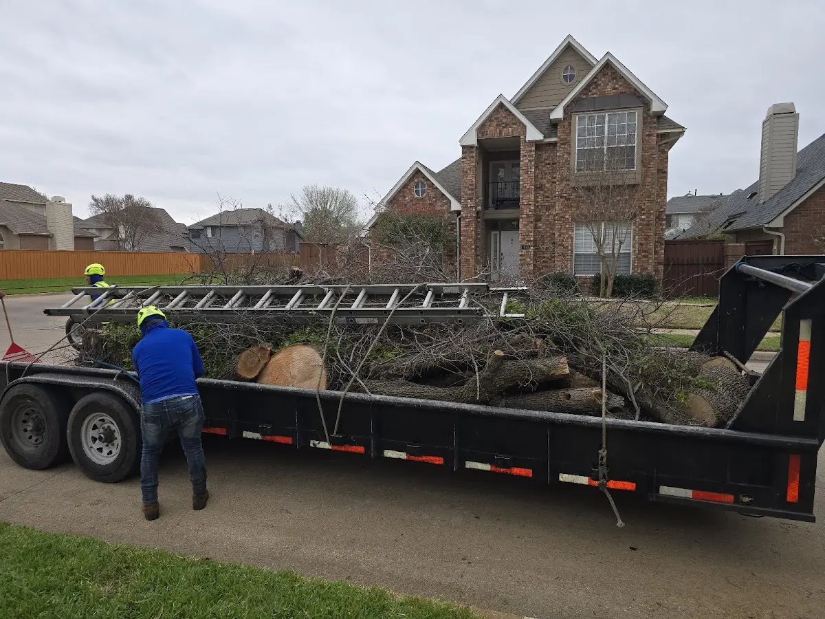 Expert Tree Removal with proper safety equipment in Turner
